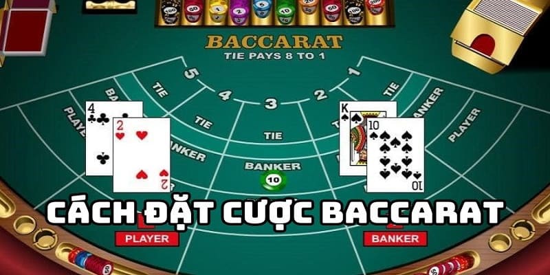 Cách chơi baccarat khoa học Xin88