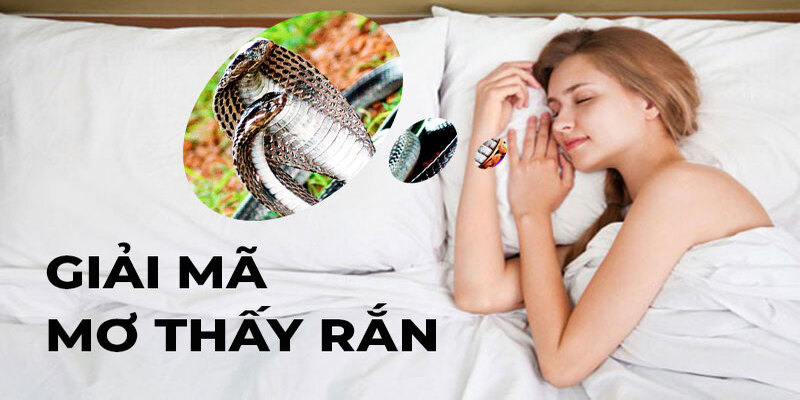 Nằm mơ thấy rắn cho tiền mang ý nghĩa của sự may mắn