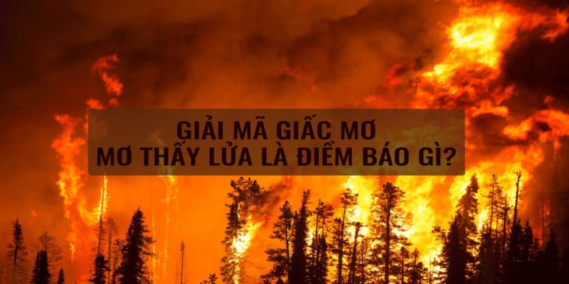 Giải mã ý nghĩa nằm mơ thấy lửa chung chung cho tân binh 